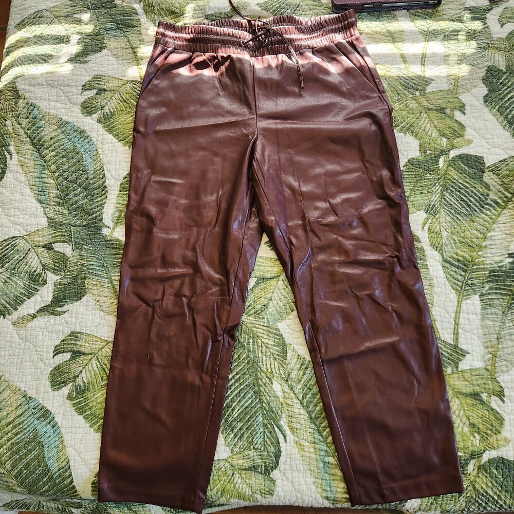 Loft Faux Leather Pants